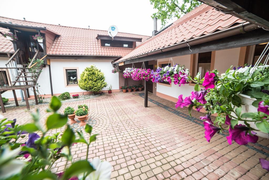 Gosciniec Czapla Bed & Breakfast Дивити Екстериор снимка